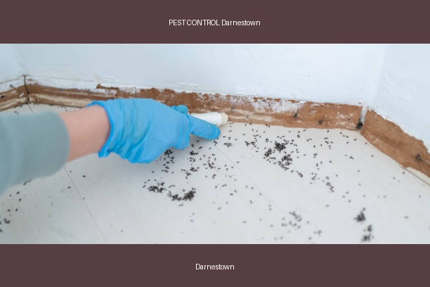 PEST CONTROL Darnestown